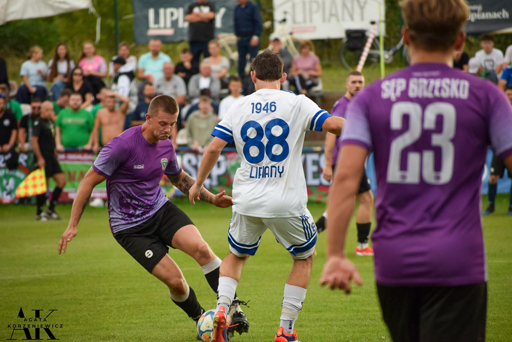 Stal lIpiany Sep Brzesko